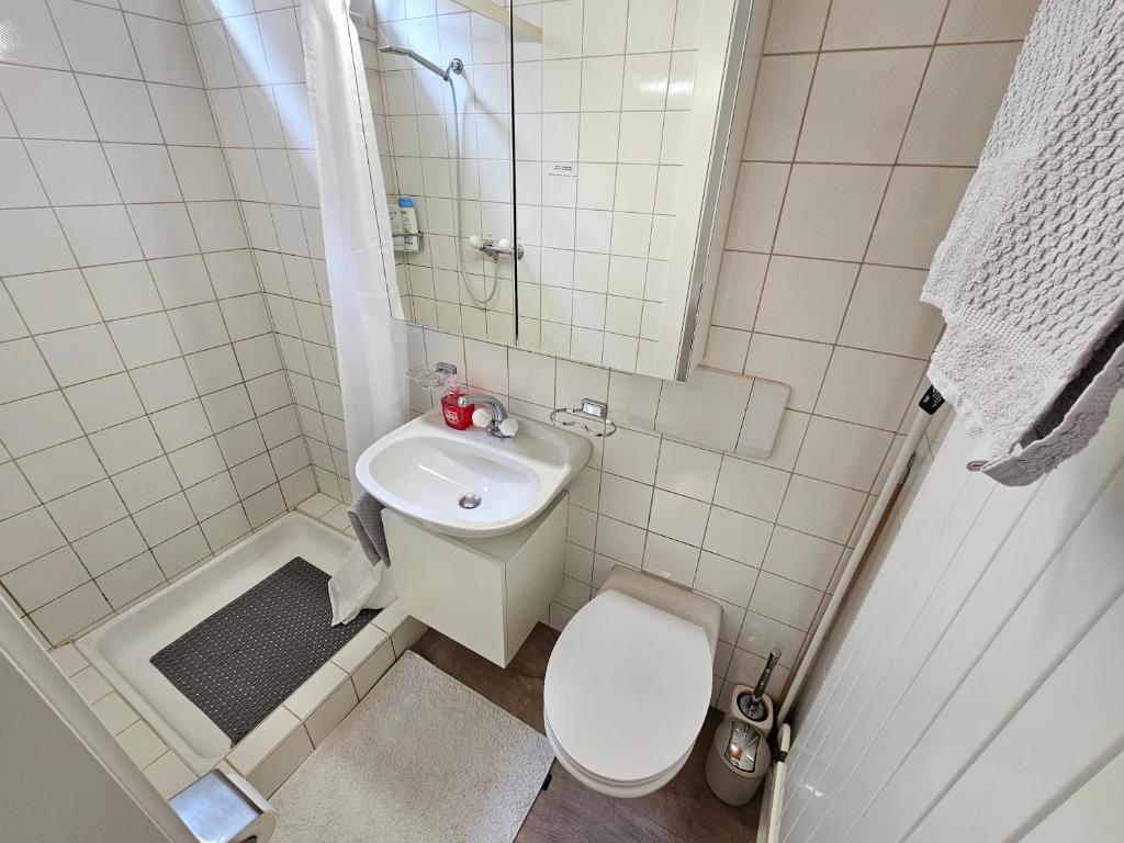 M21 – 2-Zimmer Wohnung – Vorschau 5