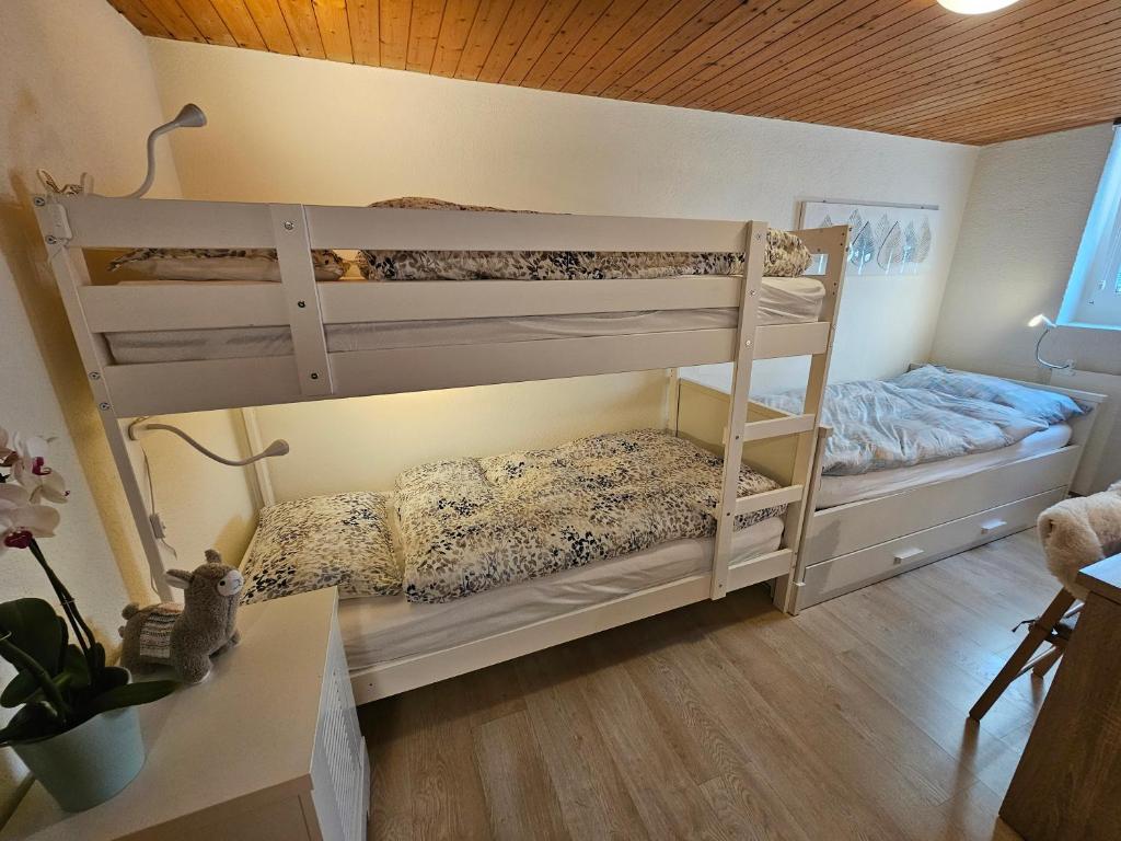 SK – 3.5-Zimmer Wohnung – Vorschau 6