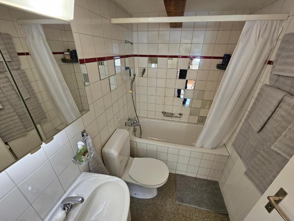M31 – 2.5-Zimmer Attikawohnung – Vorschau 9